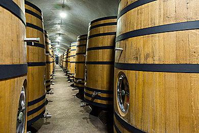 曝卡普空在开发新作《后裔》 八尺夫人女儿演员出演配角